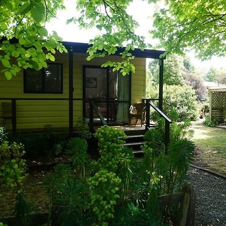 Ivy'S Cottage Greytown Exterior photo